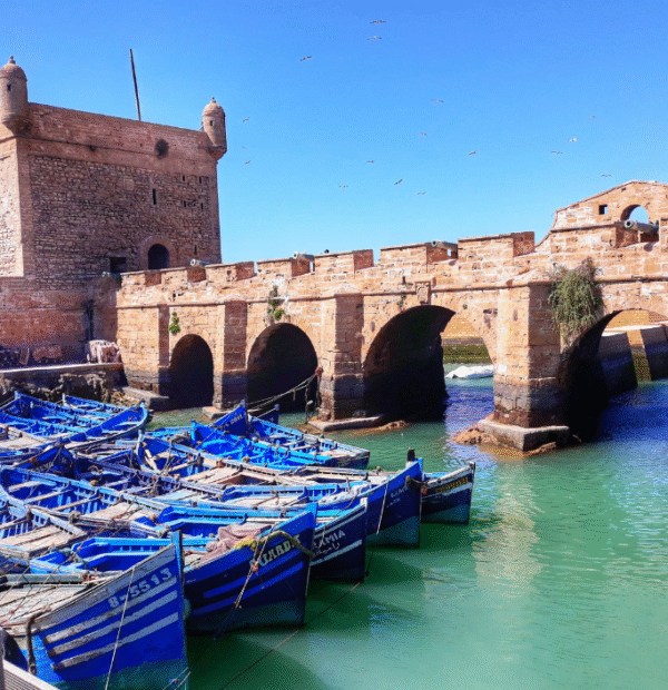 Essaouira Day Trip From Marrakech