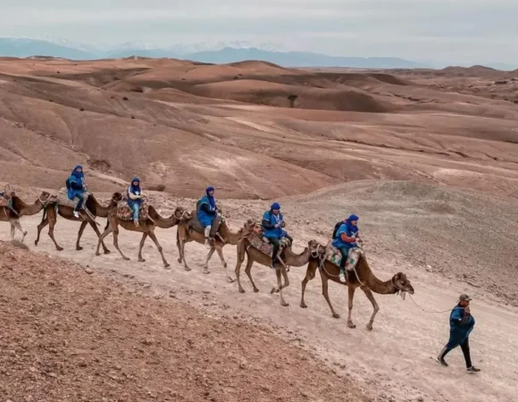 Agafay Camel Quad