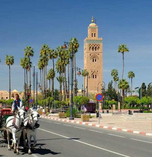 Traces of the Past from Marrakech